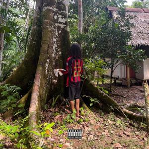 Catch Alight (Explicit)