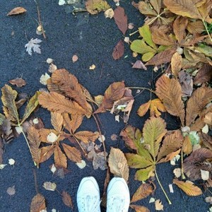 我写不出妙峰山