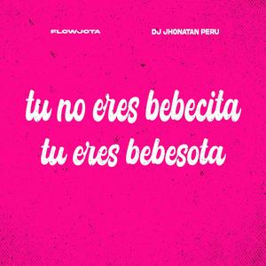 Tu No Eres Bebecita Tu Eres Bebesota (feat. FlowJota)