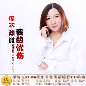 你不知道我的忧伤