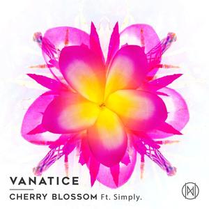 Cherry Blossom(feat. Simply.)