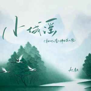 小城谣（柳叶儿弯弯拂水花儿转）封面