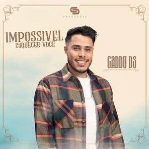 Impossivel Esquecer Você