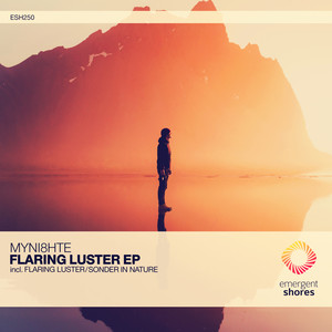 Flaring Luster (Extended Mix)