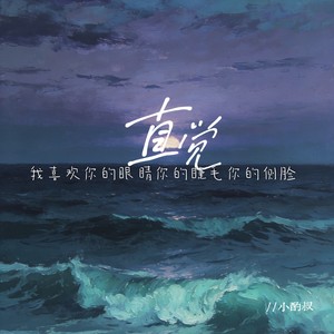 直觉（我喜欢你的眼睛你的睫毛你的侧脸）封面