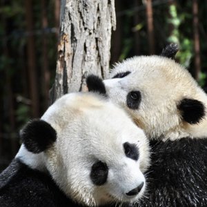 Gonna Be Right (Funkenschleuder Retouch)