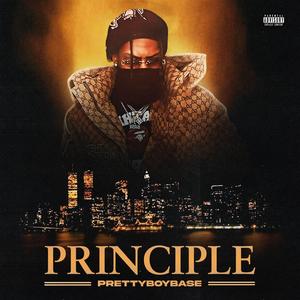 Principle (Explicit)