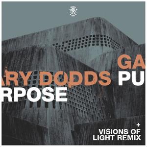 Purpose (Visions Of Light Remix)