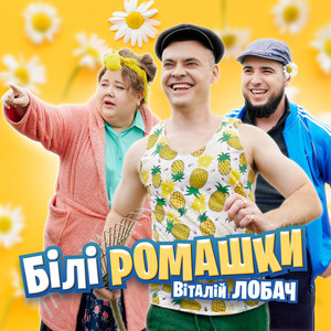 Білі ромашки