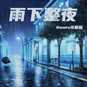 雨下整夜 (Remix)
