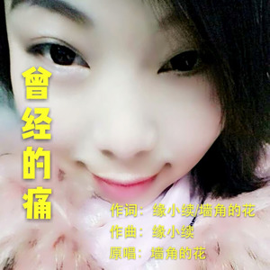 曾经的痛 (伴奏)