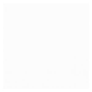 Bipolar (feat. YSW NHOBA)