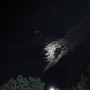 Sorry For Being A Failure