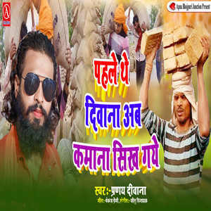 Pahle The Deewana Ab Kamana Sikh Gaye