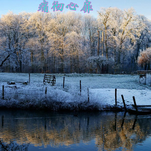 天空中最亮的星 (DJ版)