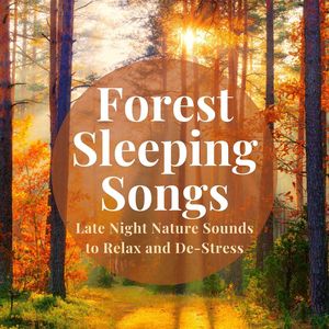 Forest Sleeping Songs: Late Night Nature Sounds to Relax and De-Stress