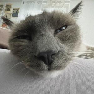 oLivE grEEn pOrSche. (Explicit)