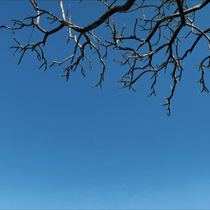 刷子 - 泪桥 (Demo)