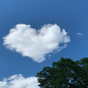 What's Wrong With Me