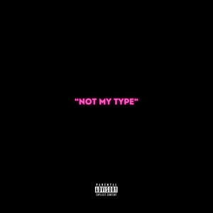 Not My Type (Explicit)