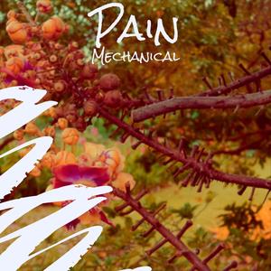 Pain Mechanical