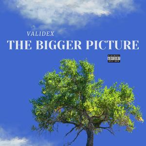 THE BIGGER PICTURE (Explicit)