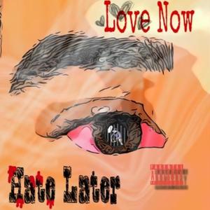 Love Now HATE LATER (Explicit)