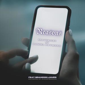 Reasons (Explicit)