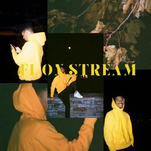 FL STREAM 2