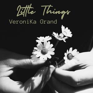 Little Things (feat. Anders Johansson & Vittorio Longobardi)