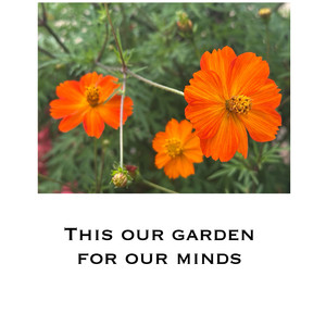 This our garden for our minds