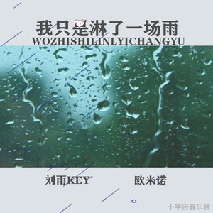 我只是淋了一场雨 (伴奏)封面