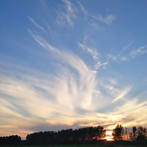 北极光我的故乡