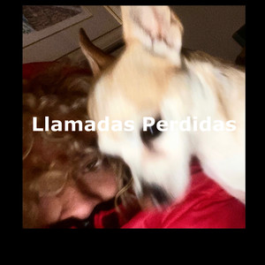 Llamadas Perdidas