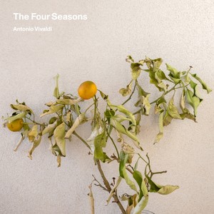 The Four Seasons, Violin Concerto in F Major, Op. 8 No. 3, RV 293 