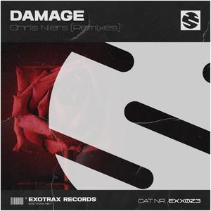 Damage (Remixes)