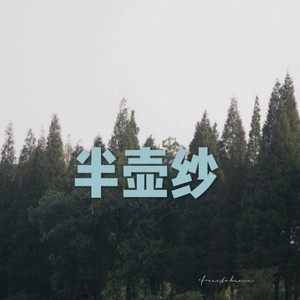 斑马 斑马 (DJ版)