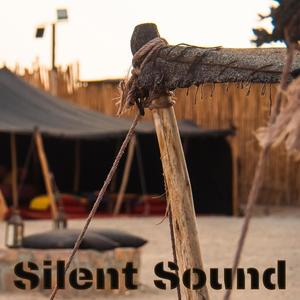 Silent Sound