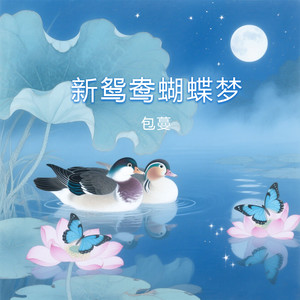 新鸳鸯蝴蝶梦