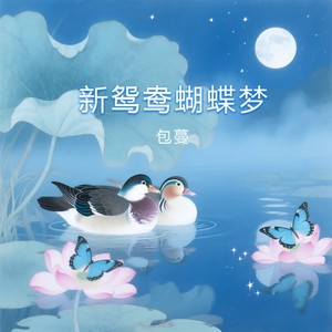 新鸳鸯蝴蝶梦