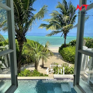 传说中你为爱甘心被搁浅