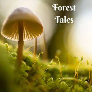 Forest Tales