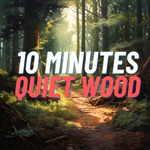 10 Minutes Quiet Wood