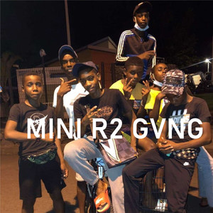 Mini R2 Gvng