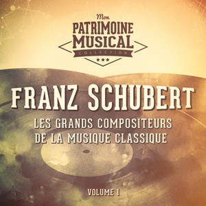 Les grands compositeurs de la musique classique : Franz Schubert, Vol. 1