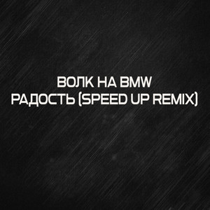 Радость (Speed Up Remix)