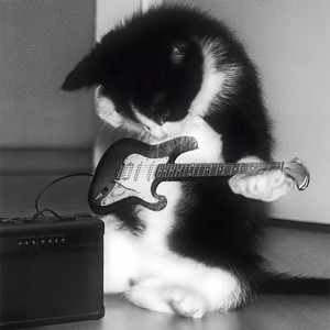 不会飞的Huih - 魔怔曲 (1.3x)