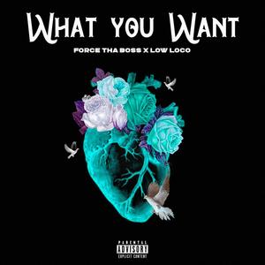 What You Want(feat. Low Loco) (Explicit)
