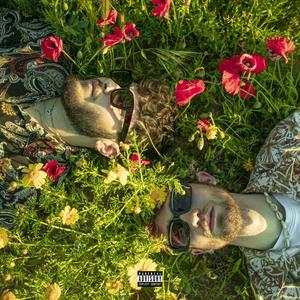 VITA DI MERDA (feat. Denxs) (Explicit)