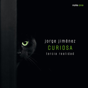 Che si puó fare? (Arr. for Violin Ensemble by Anonymous)